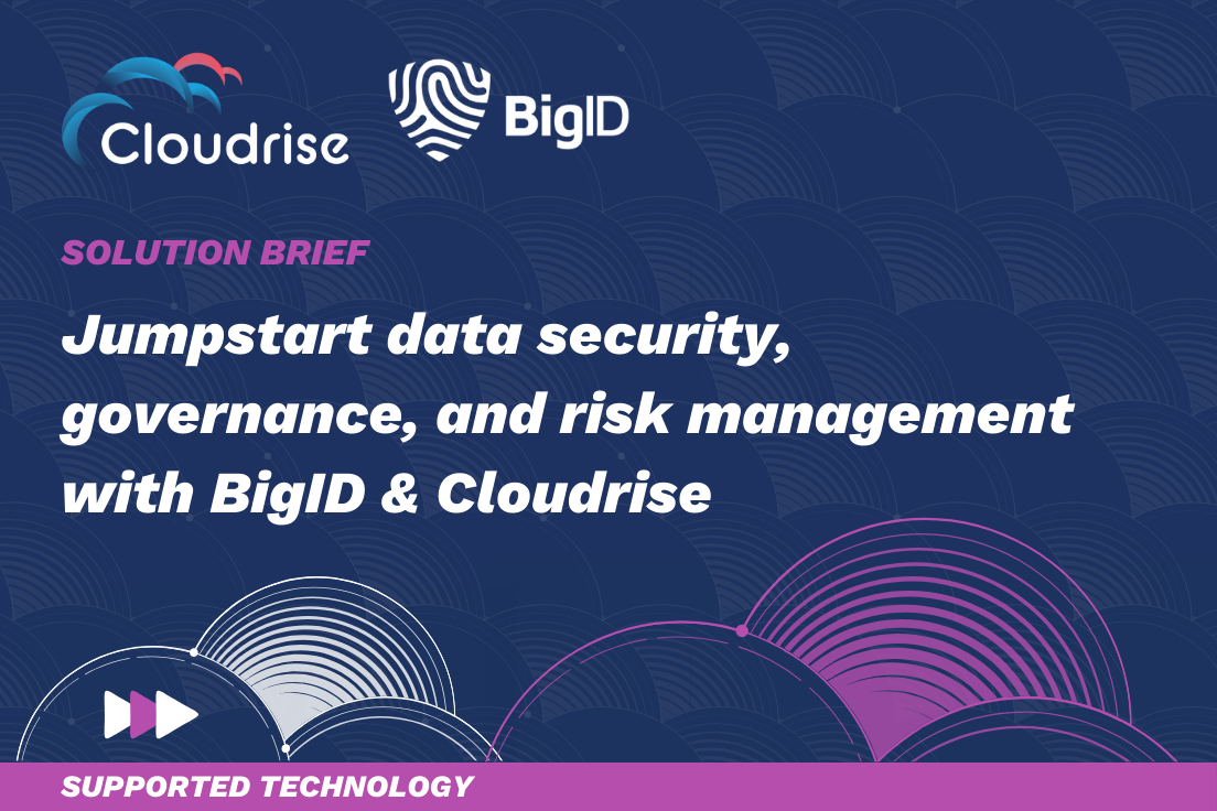 BigID + Cloudrise